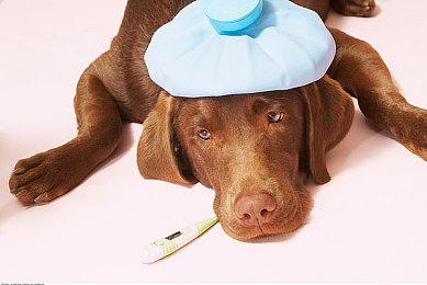 机甲端游新作《Code B.R.E.A.K.》矛隼实机演示 3月26日删档测试